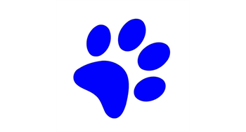 Registration Details